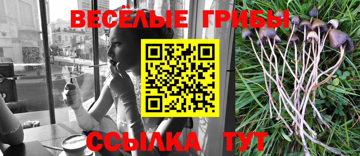 Галлюциногенные грибы ЛСД Великий Устюг