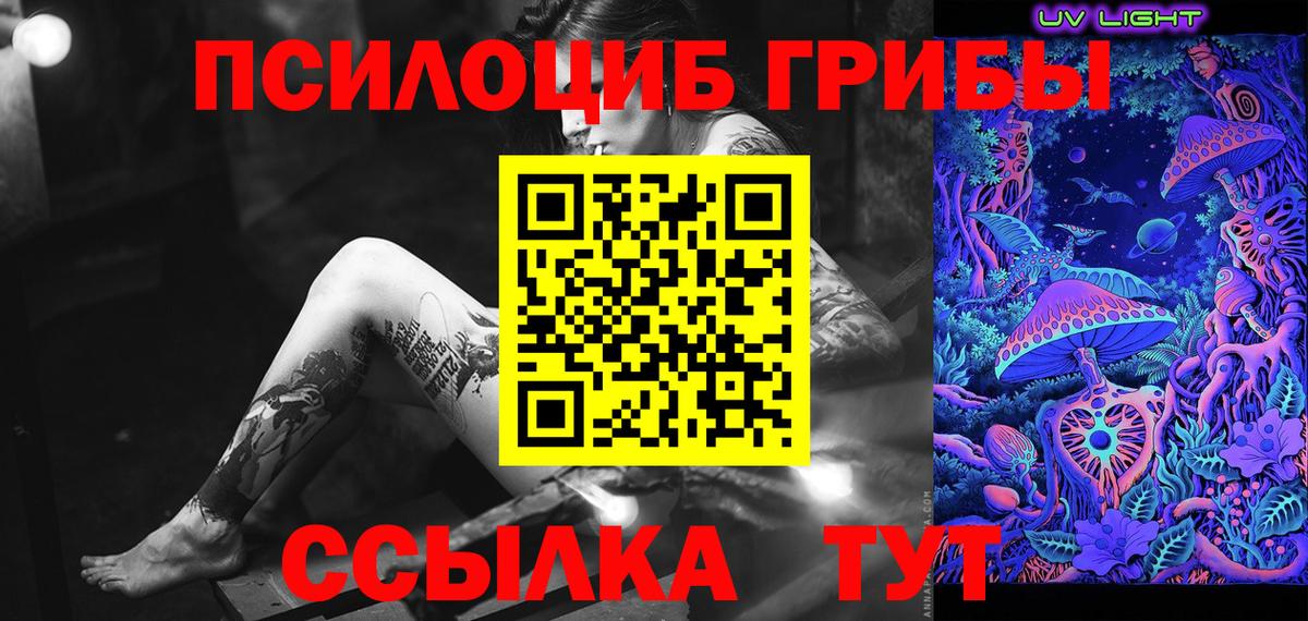 Великий Устюг  Псилоцибиновые грибы Psilocybine cubensis  магазин    Вход с VPN 